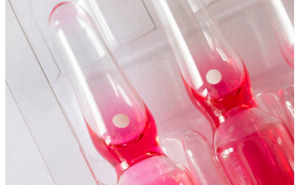 Vitamin B1/B6 in Whole Blood